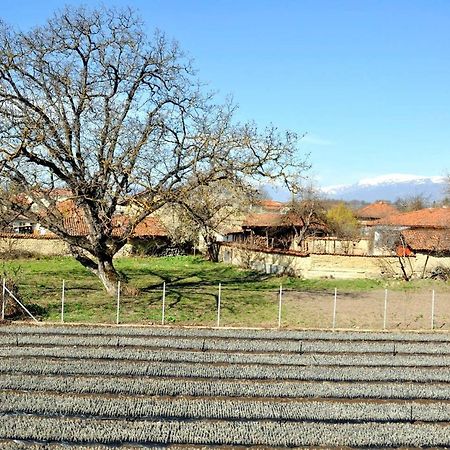 Vila V S. Gabarevo, Dolinata Na Rozite. Villa Exterior foto