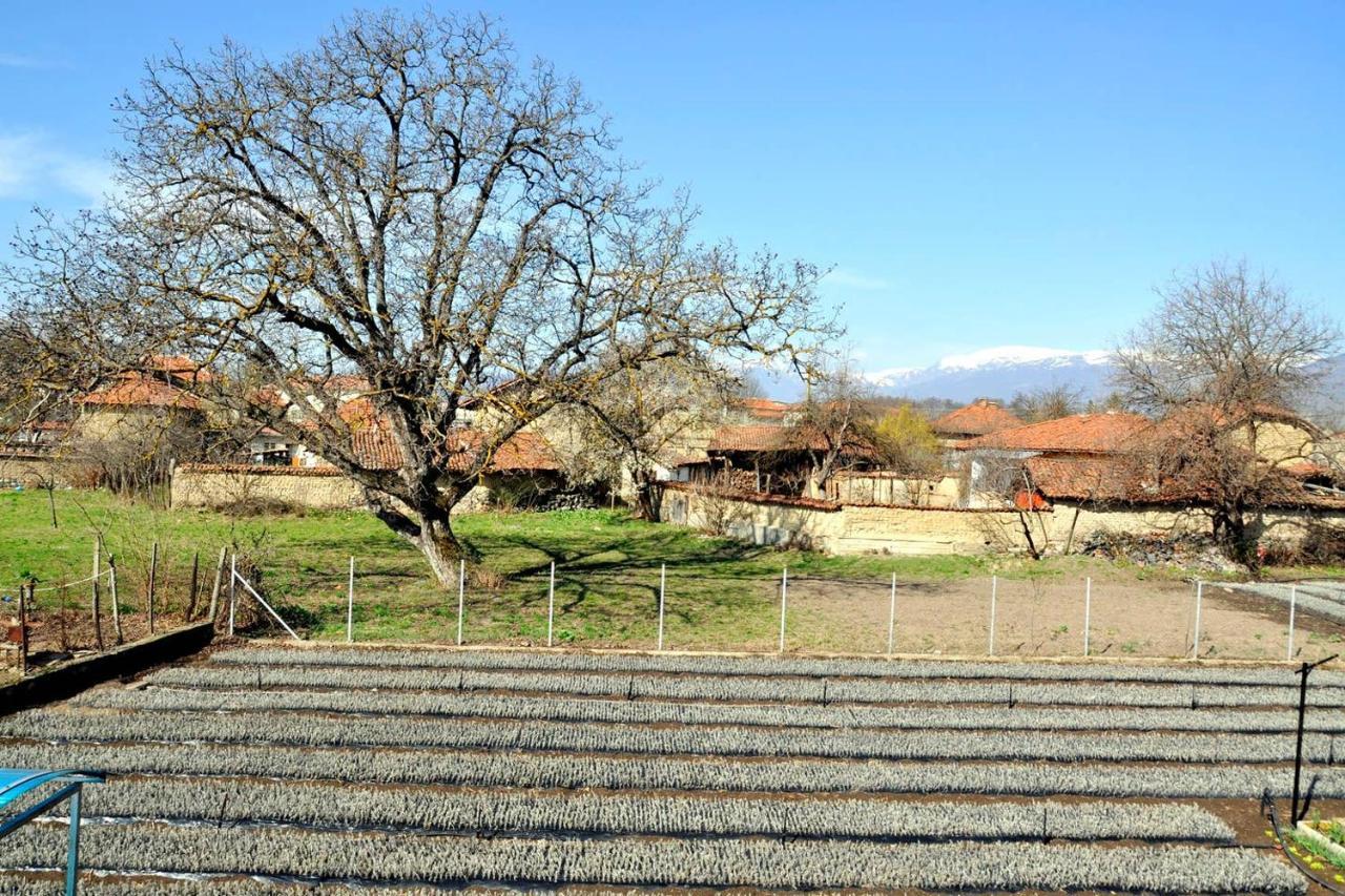 Вила В С. Габарево, Долината На Розите. Gabarevo Exterior foto